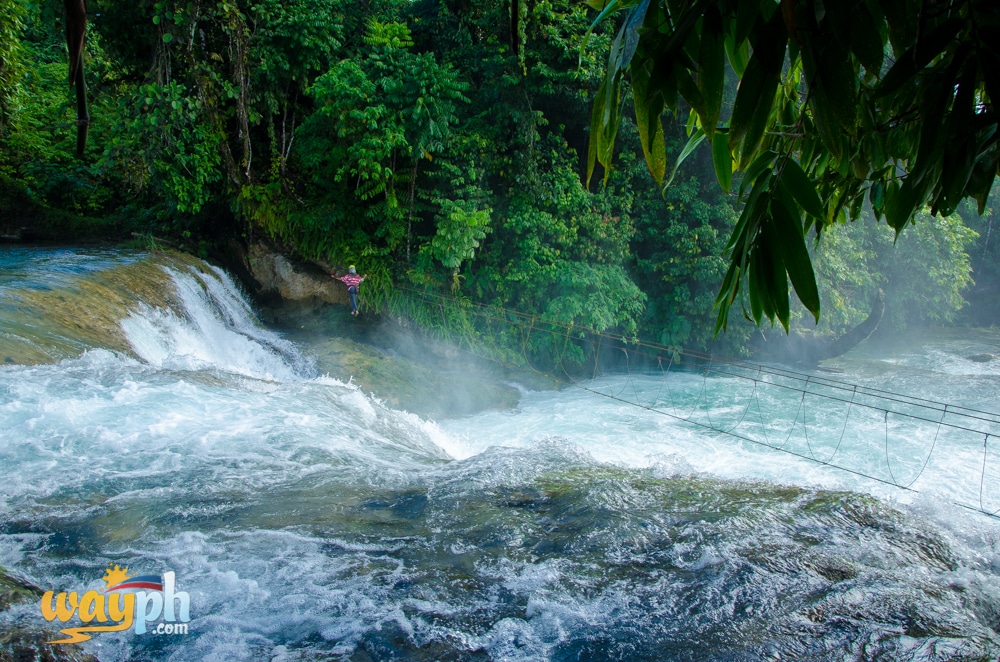 Aliwagwag Falls Eco Park (11)