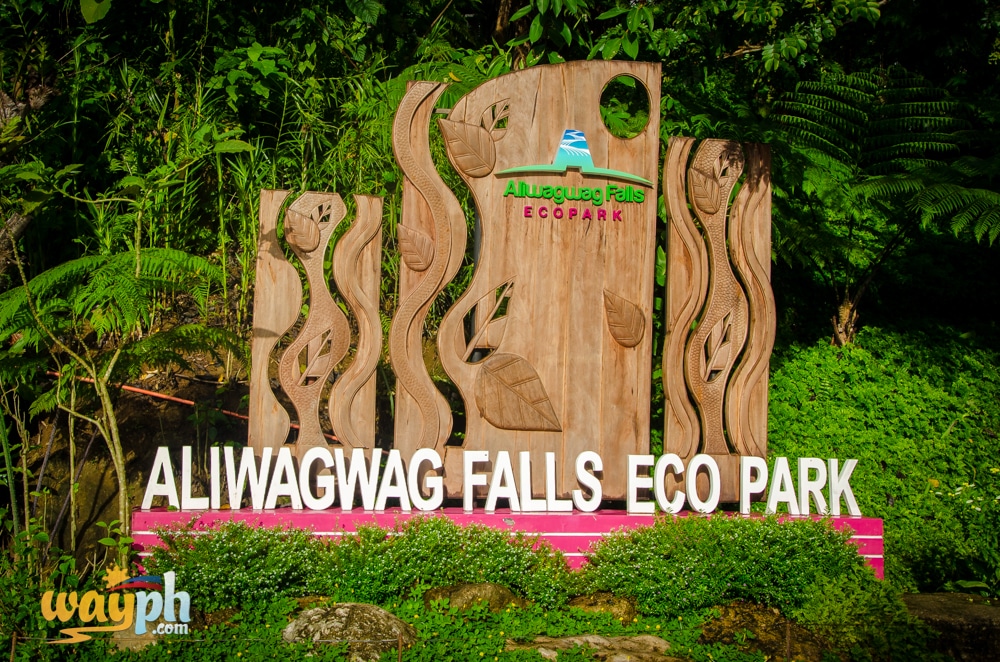 Aliwagwag Falls Eco Park (16)