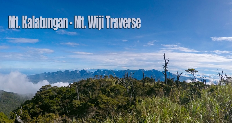 My Mt. Kalatungan - Mt. Wiji Traverse Experience - WayPH.com