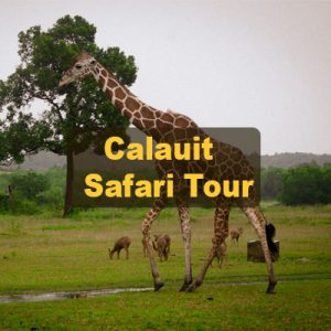 Calauit Safari Tour Package