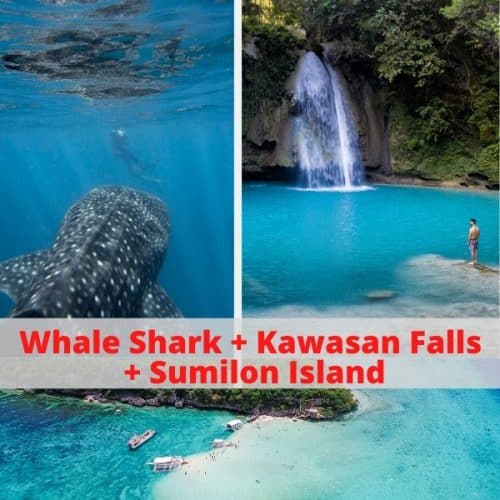 Whale Shark + Sumilon + Kawansan Falls Day Tour Package