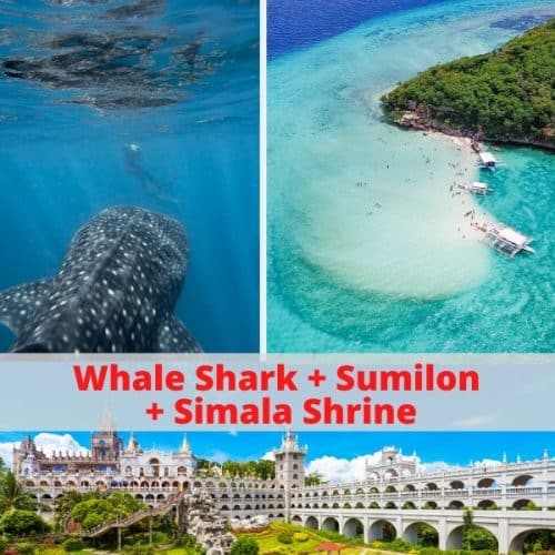 Whale Shark + Oslob + Simala Day Tour Package