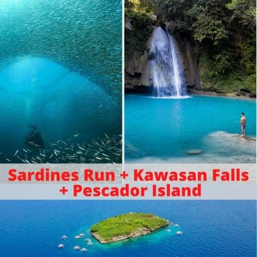 Sardines Run + Kawasan Falls + Pescador Island Day Tour Package