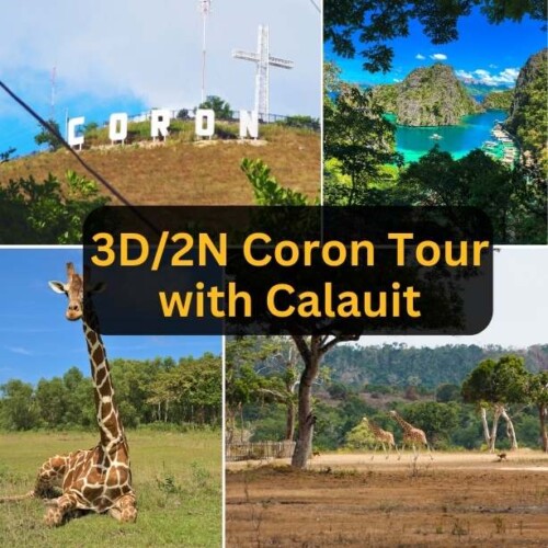 3D2N Coron with Calauit